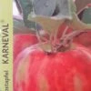 Appelboom (Malus Domestica 'Karneval') -Planten Verkoopwinkel appel 2